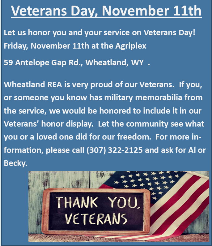 Veterans Day